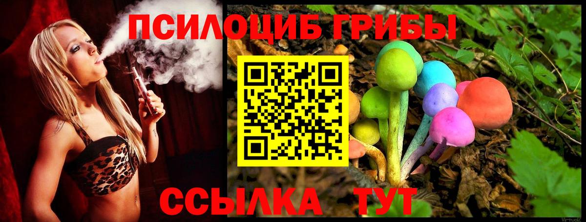 Учалы  Псилоцибиновые грибы Psilocybe  Вход с VPN 