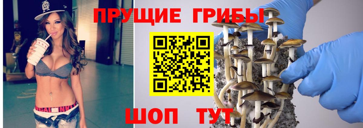 Псилоцибиновые грибы Psilocybine cubensis Учалы